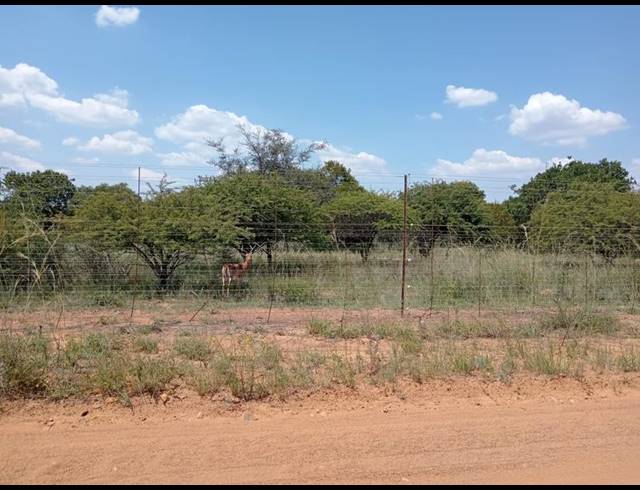 FARM FOR SALE IN DINOKENG GAME RESERVE